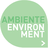 THE BEAUTY OF SUSTAINABILITY